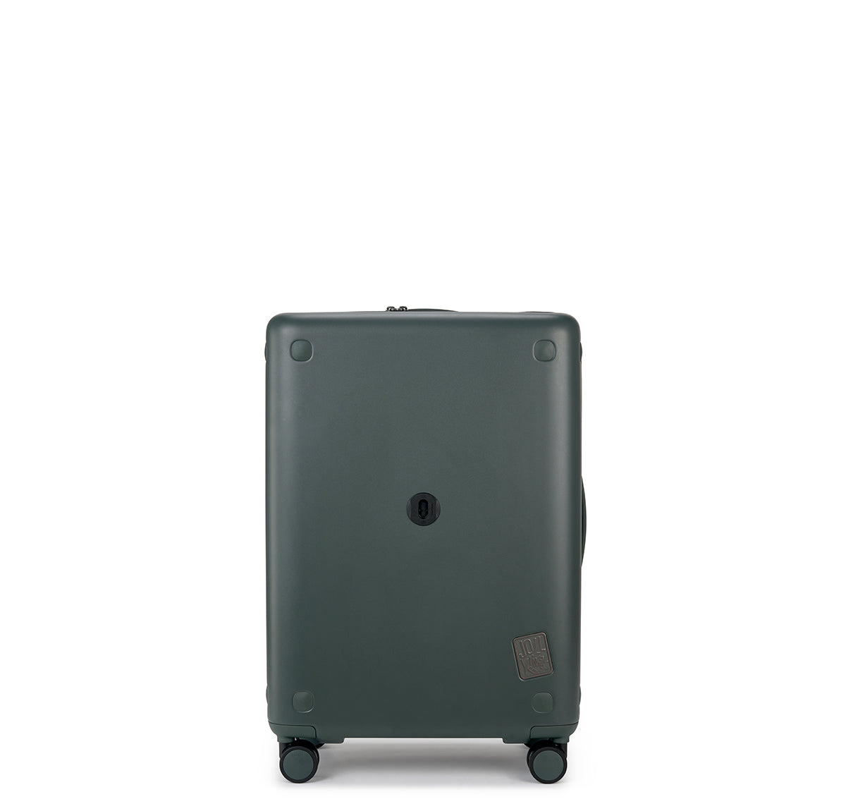 #color_olive green